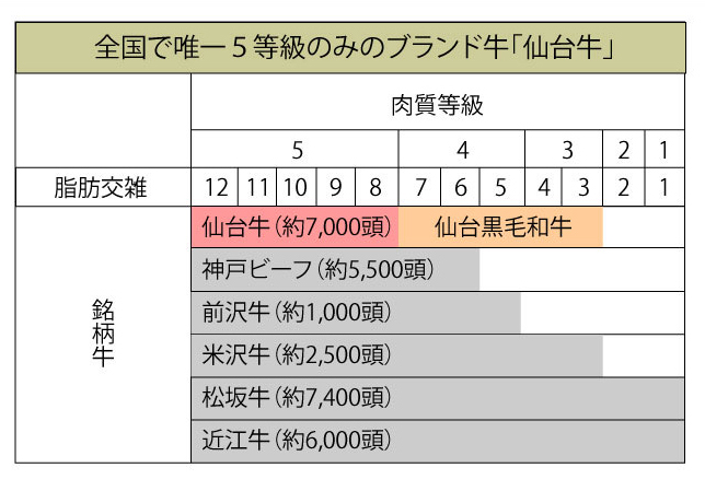 ５等級のみ（A5・B5ランク）